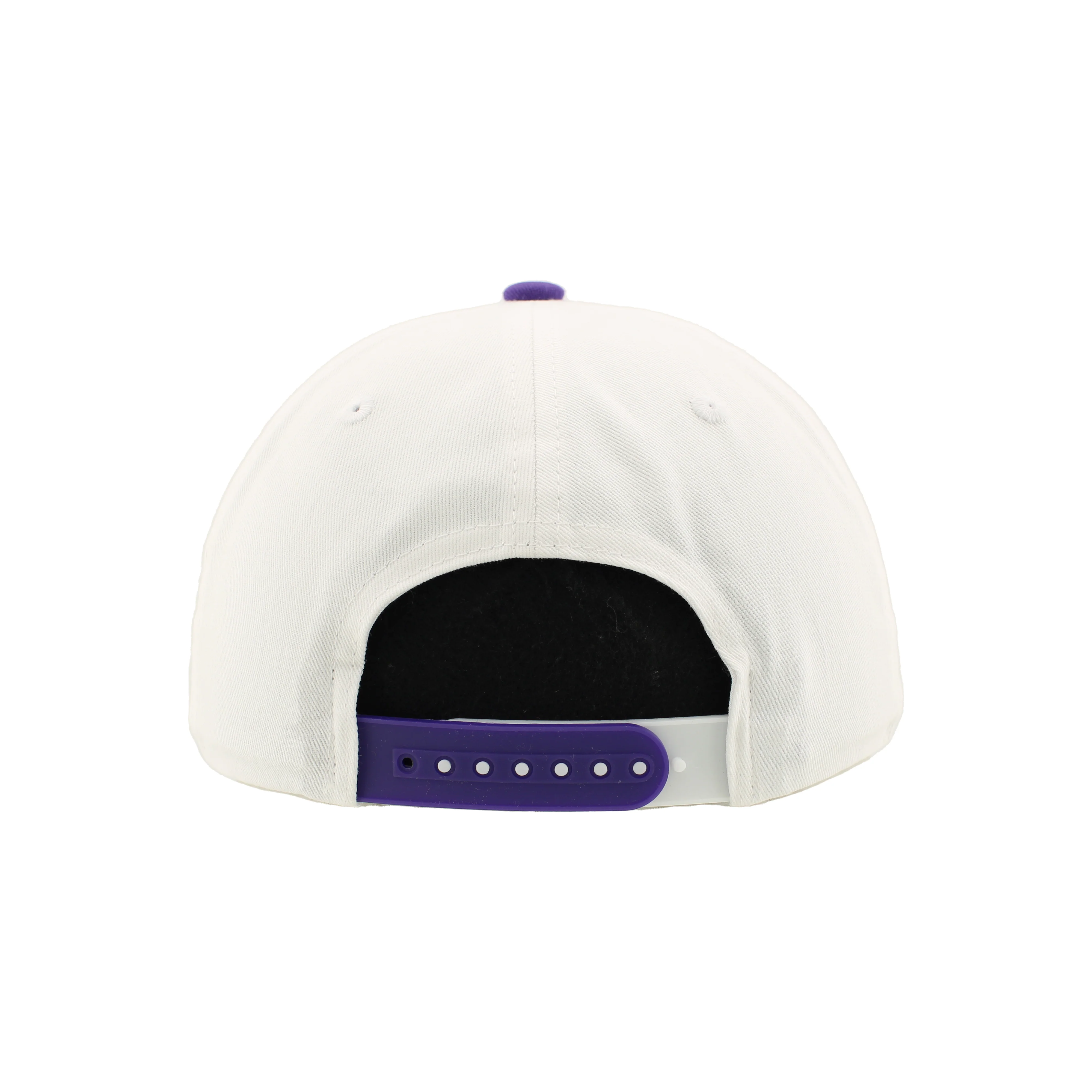 Greensboro Gargoyles Apex White/Purple District 3D Hat - Image 3